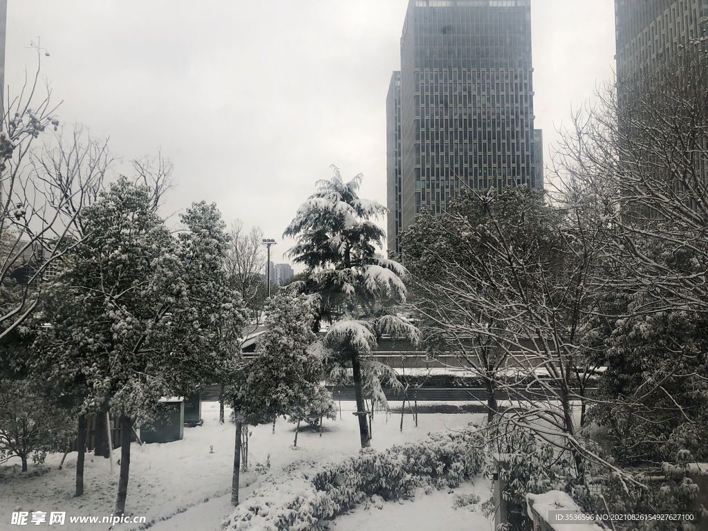 城市雪景