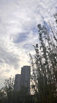 美景
