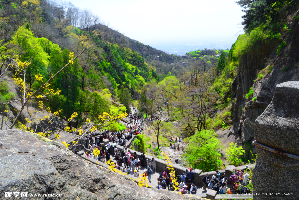 泰山景区