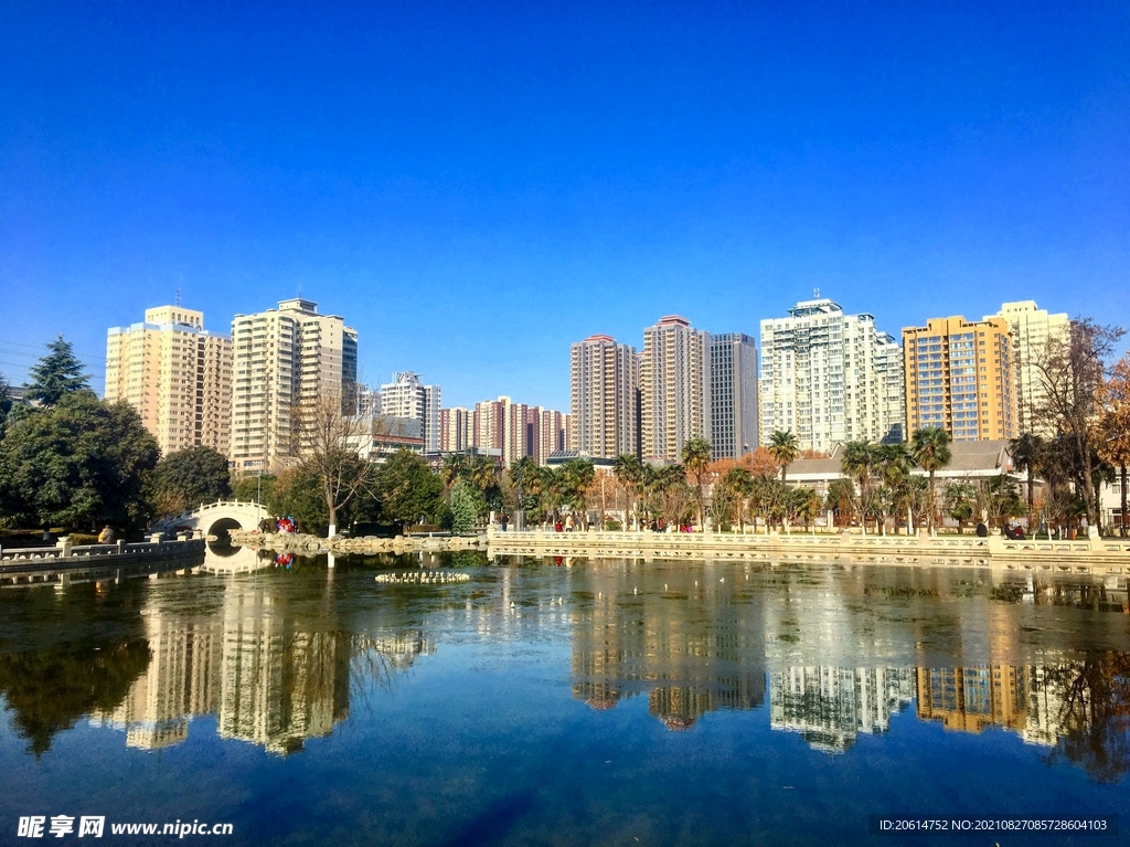 美丽的公园风景