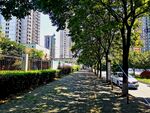 城市街道风景