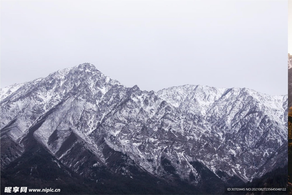 山