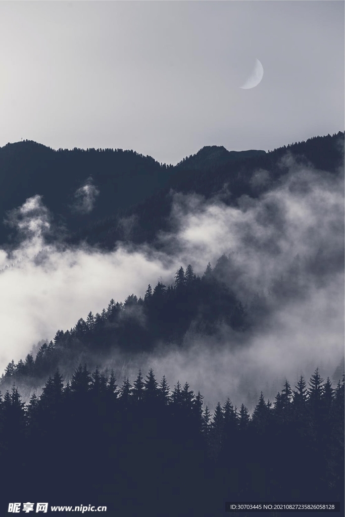 山