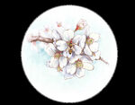   手绘粉色樱花免扣素材图片 