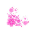   手绘粉色樱花免扣素材图片 