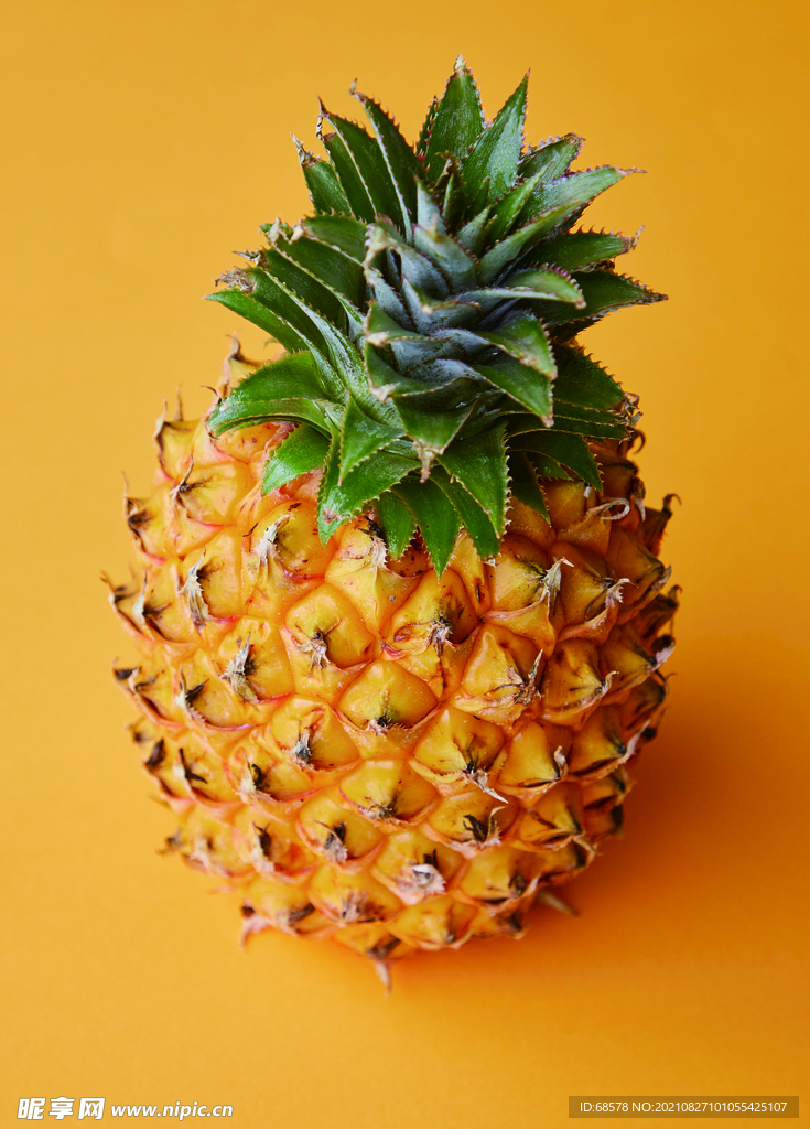 大菠萝