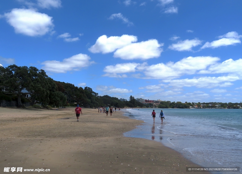 新西兰夏季海滩风景