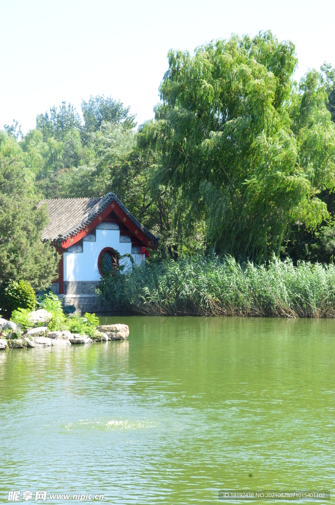 公园风景