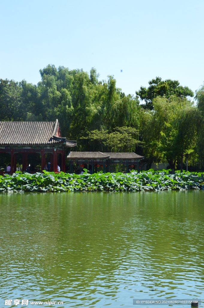 园林风景 