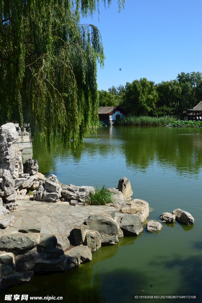 公园风景