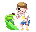 观察昆虫的孩子