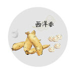 西洋参