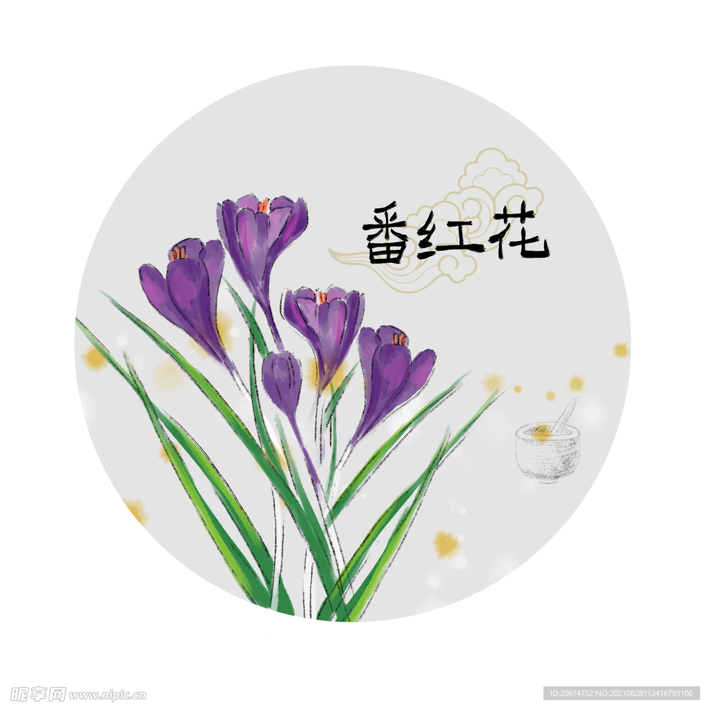 番红花