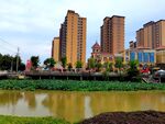 美丽的城市河流风景