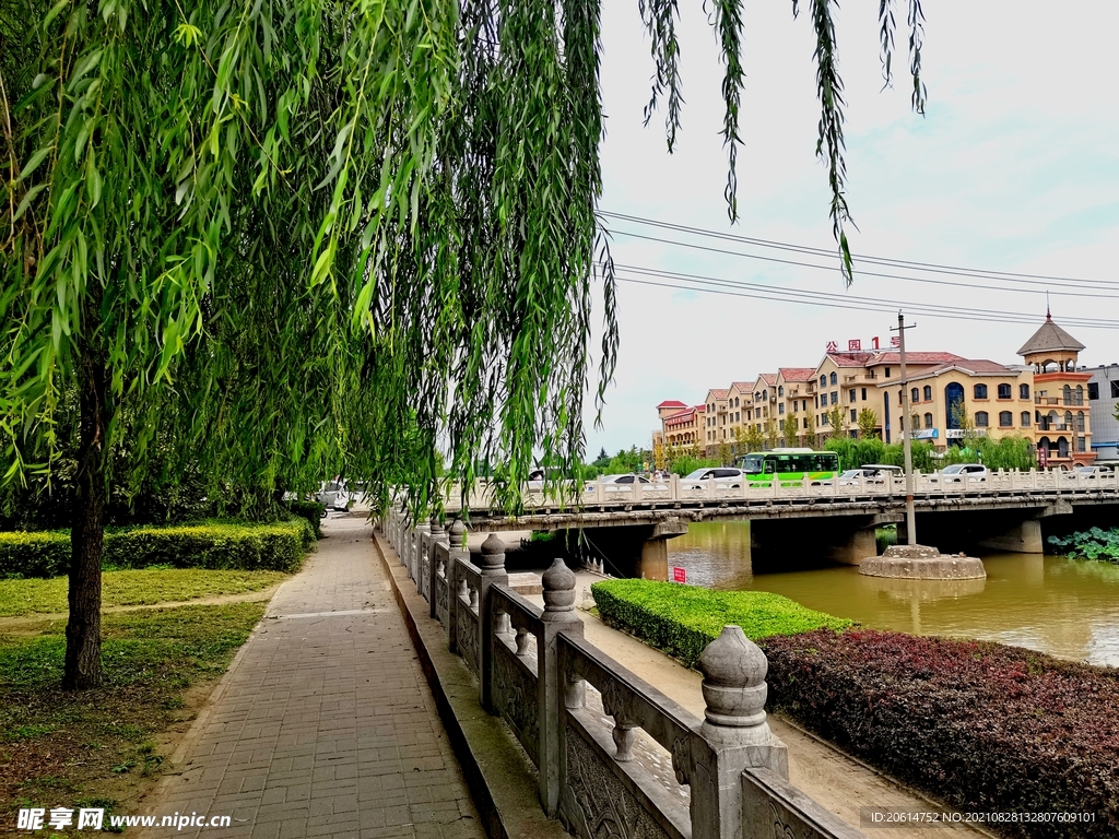 美丽的城市公园风景