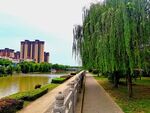美丽的城市公园风景