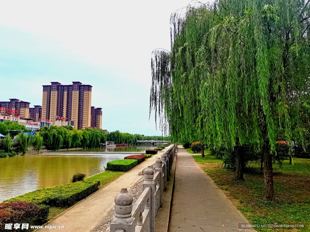 美丽的城市公园风景