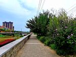 美丽的城市公园风景