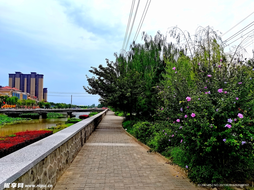 美丽的城市公园风景