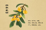 枇杷