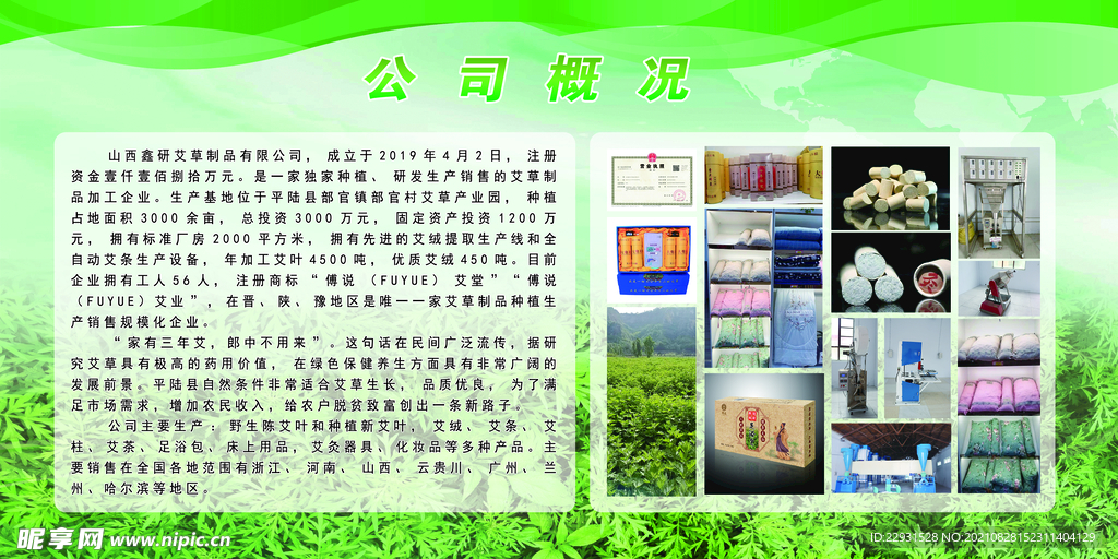 公司概况
