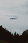 山