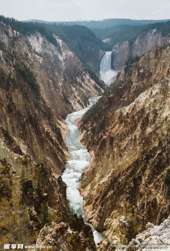 山