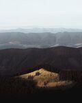 山