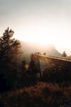 山