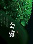 白露 