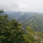 山