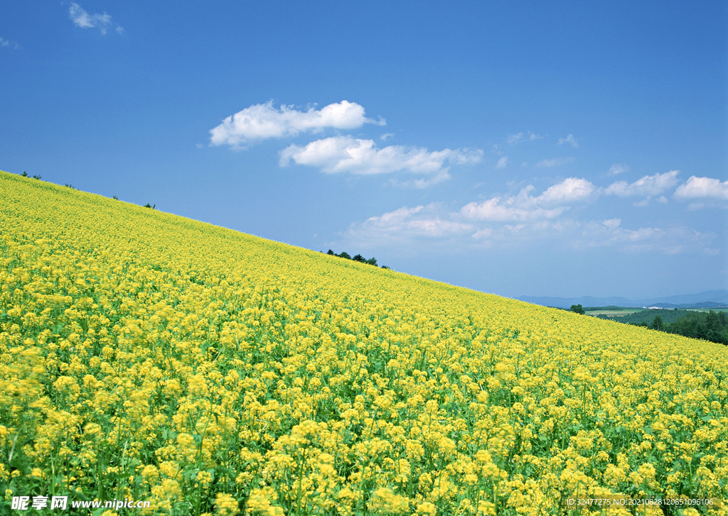  田园风景摄影 