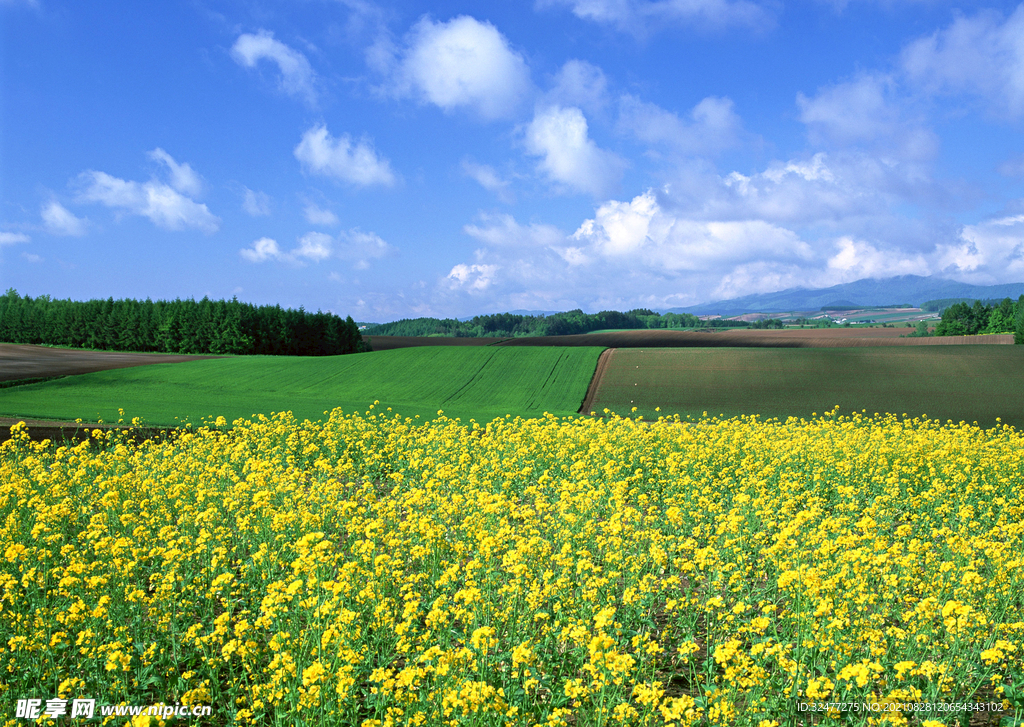  田园风景摄影