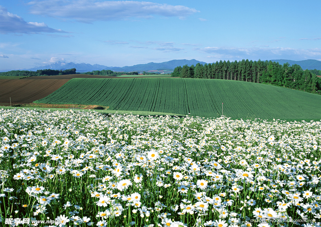 田园风景摄影