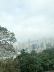 香港高楼