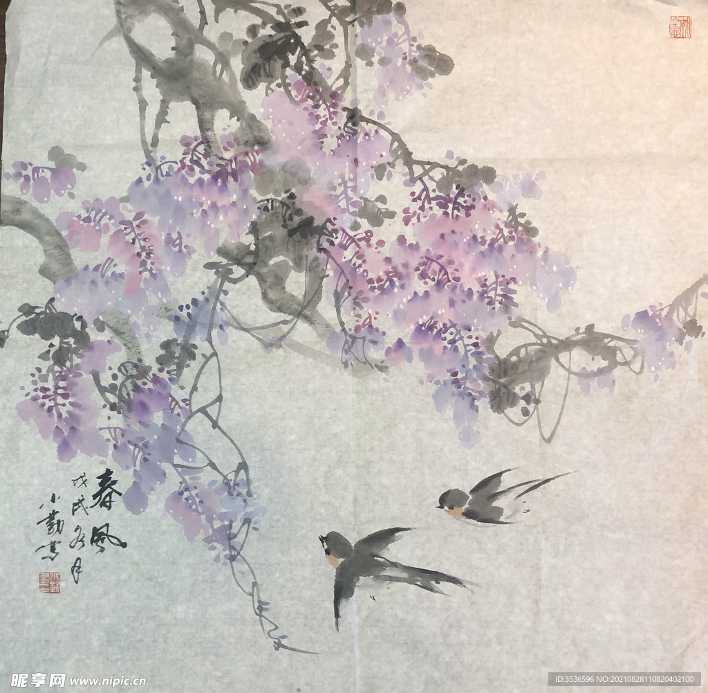 紫藤与飞鸟国画