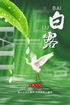 白露 