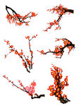 梅花 