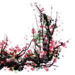 梅花  