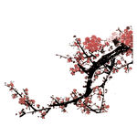 梅花  