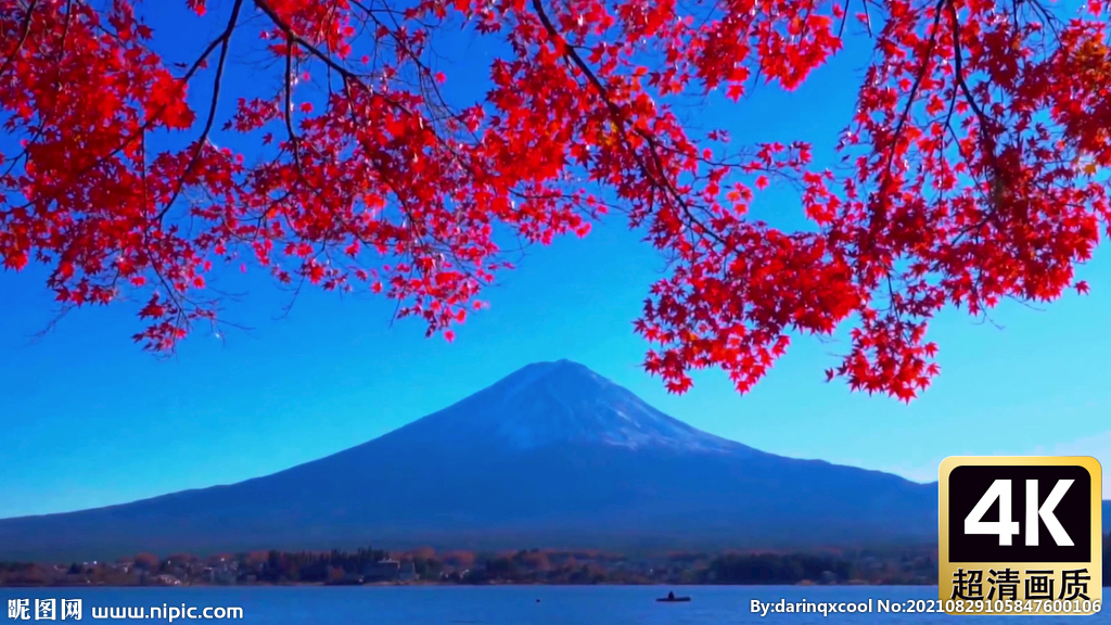 枫树叶下的大山风景