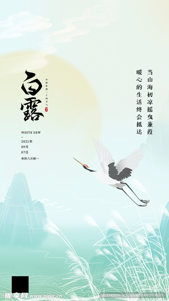 白露海报