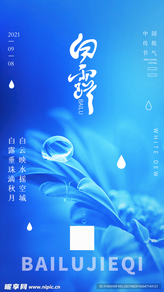 白露节气海报