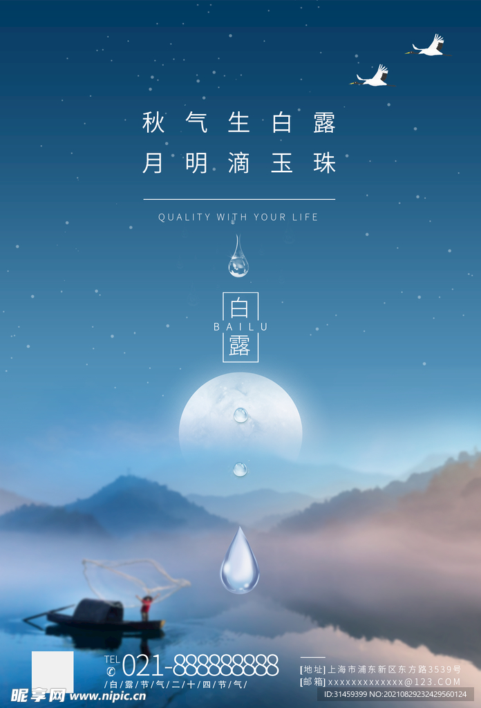 白露二十四节气海报