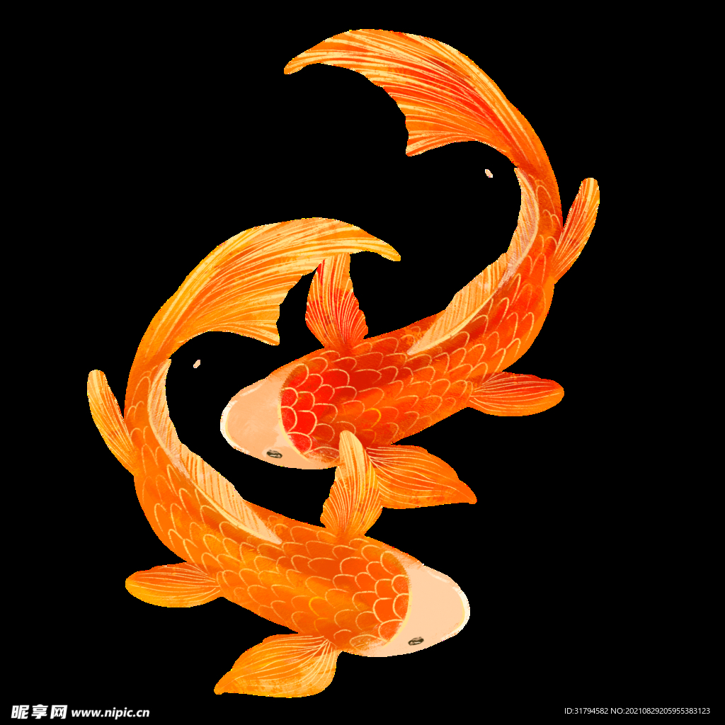 锦鲤元素