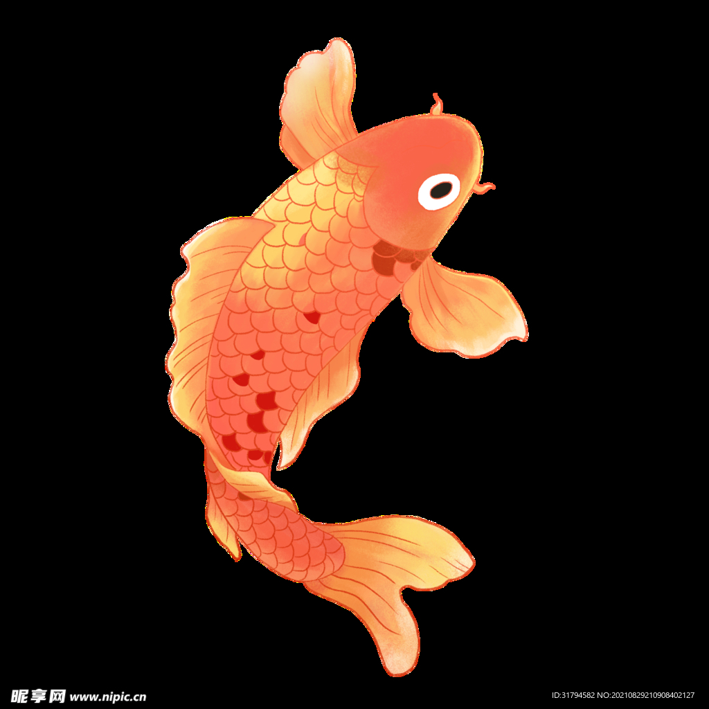 锦鲤元素
