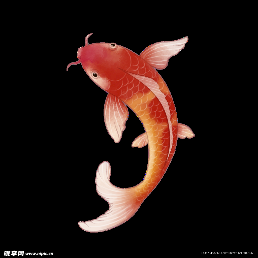 锦鲤元素