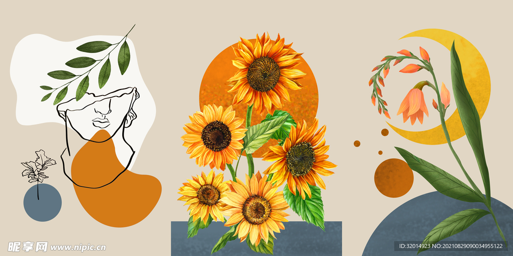 手绘向日葵植物插画