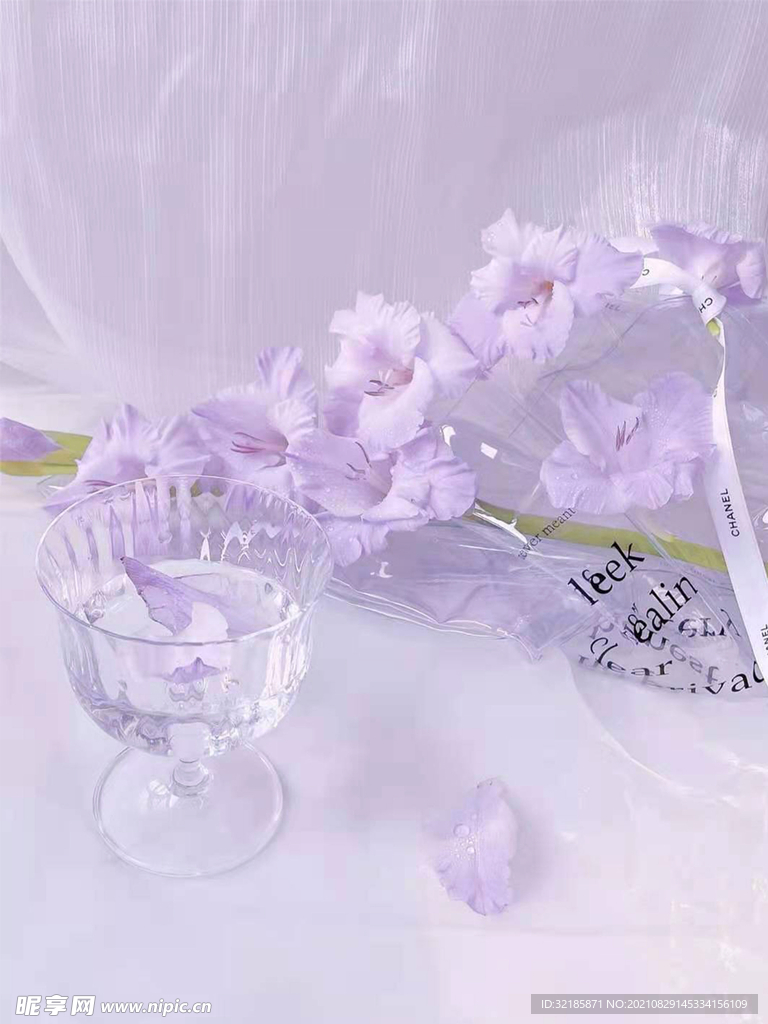 花朵图片