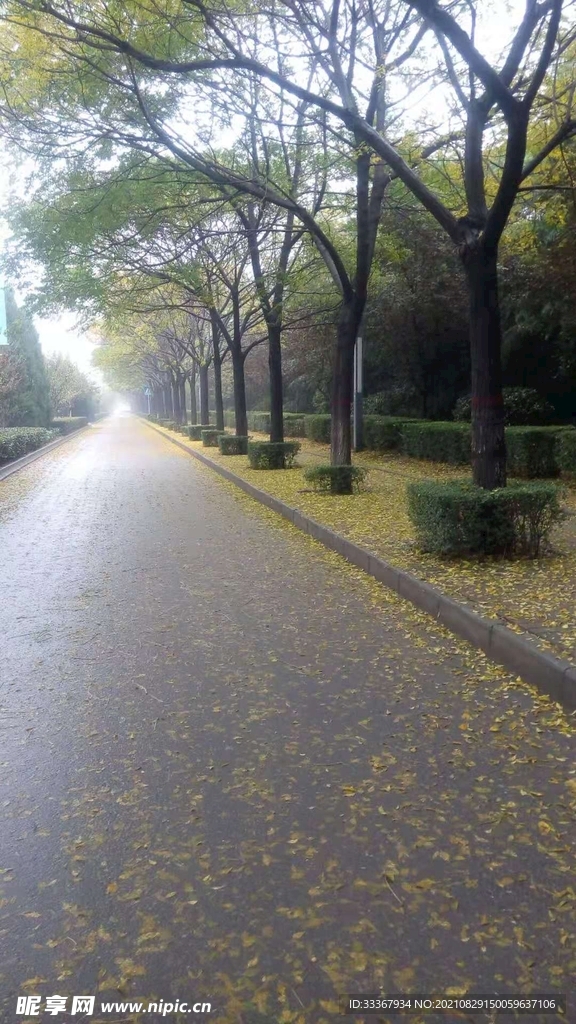 初秋的早晨